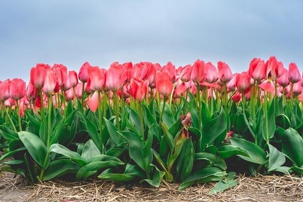 How do UK building regulations affect home renovations?